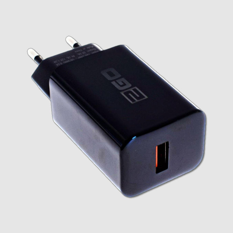 2Go Schnelladegerät USB 100-240V 3000mA - mydeel
